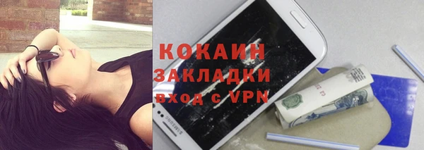 сатива Михайлов