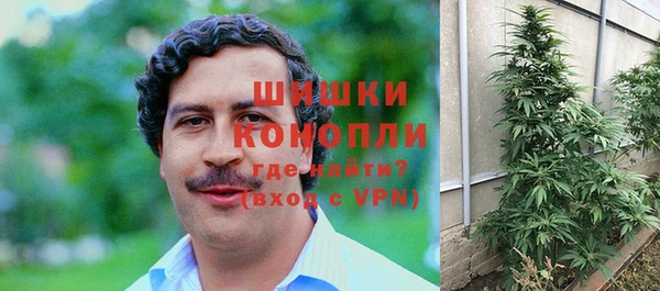амф Михайловск