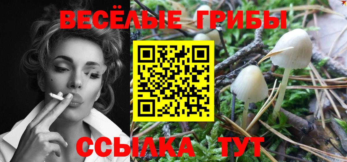 Галлюциногенные грибы прущие грибы  Люберцы  Псилоцибиновые грибы мухоморы 