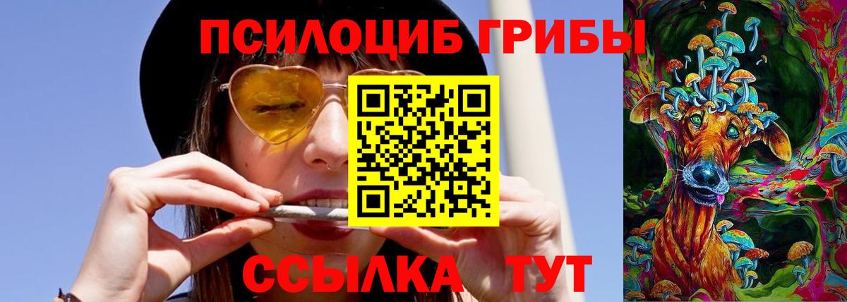 Галлюциногенные грибы прущие грибы Люберцы