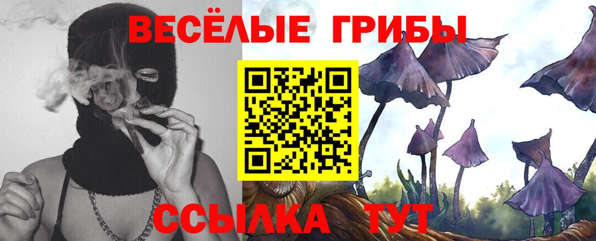 Галлюциногенные грибы Psilocybe Люберцы