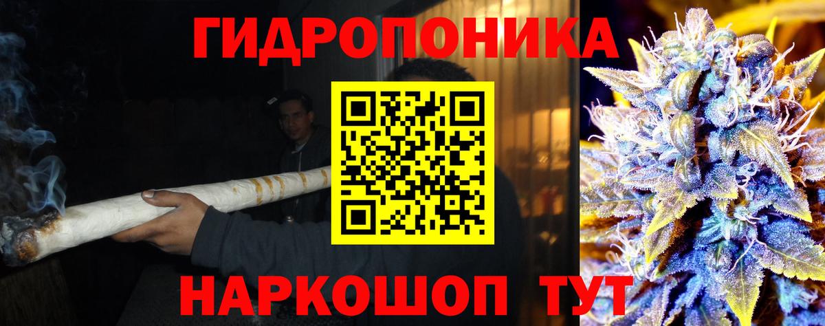 Шишки марихуана конопля Люберцы
